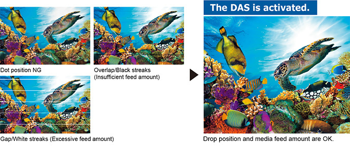 DAS (Dot Adjustment System)