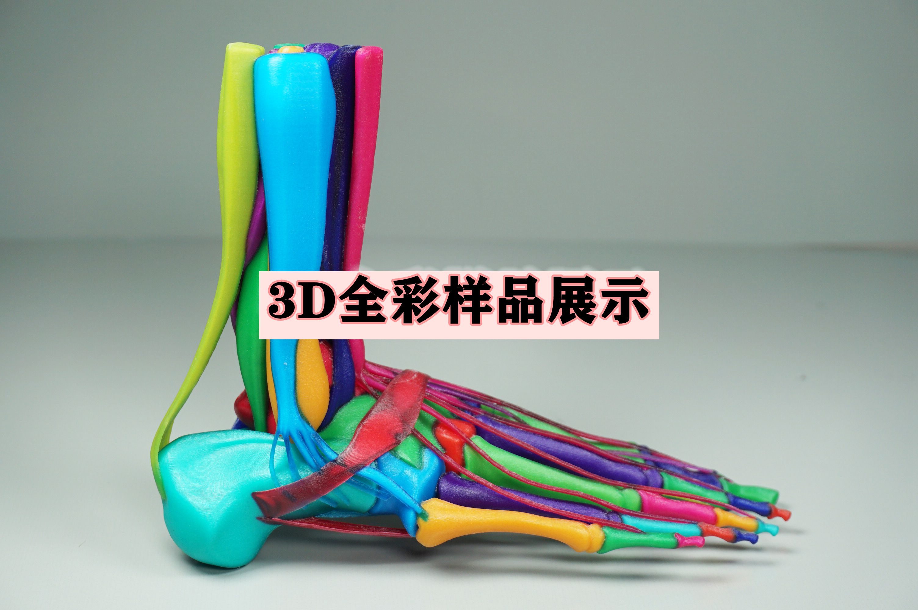 3D全彩样品展示
